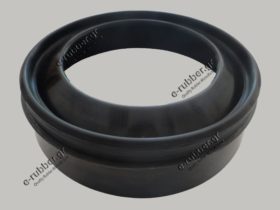 Seal 110x150x12/13,5