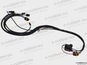 Lombardini ED0021863080-S - Wiring